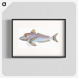 1-22_The-Natural-History-of-British-Fishes_blk