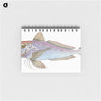 1-22_The-Natural-History-of-British-Fishes_memo