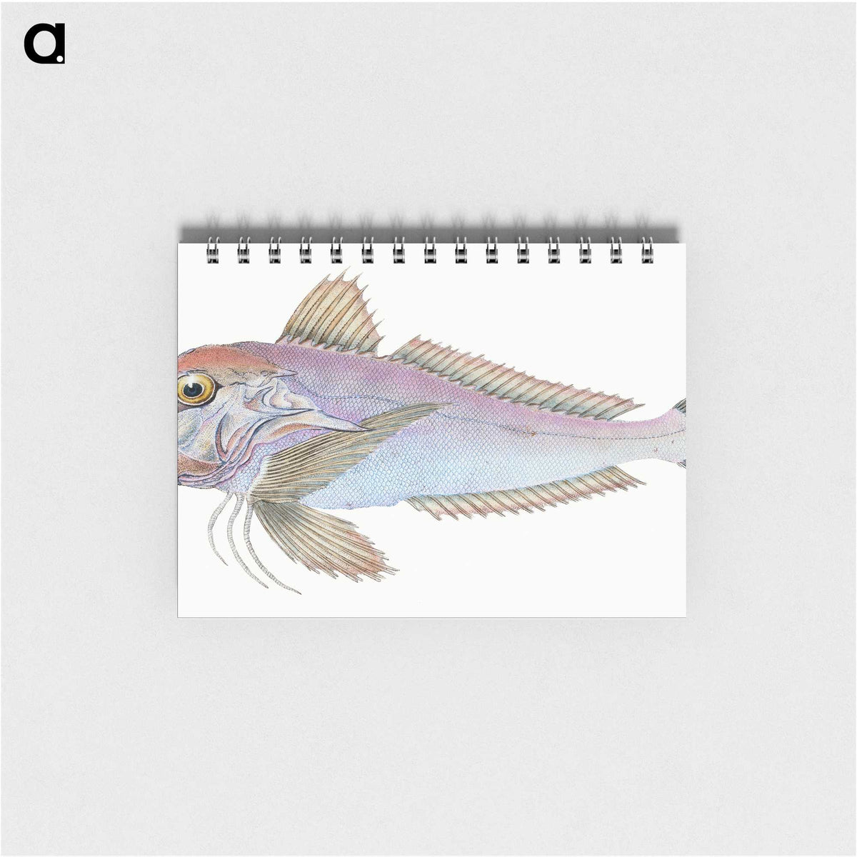 1-22_The-Natural-History-of-British-Fishes_memo