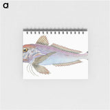 1-22_The-Natural-History-of-British-Fishes_memo