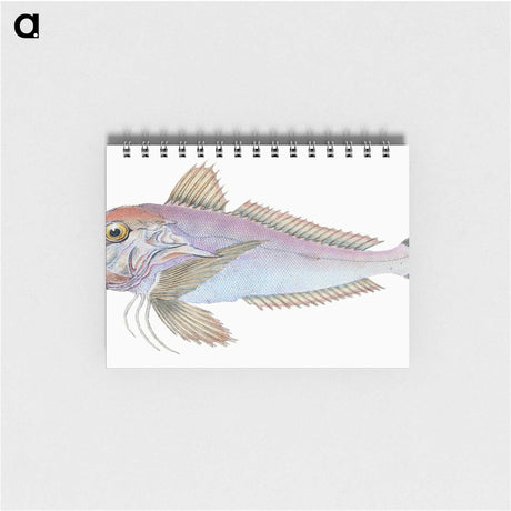 1-22_The-Natural-History-of-British-Fishes_memo