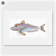 1-22_The-Natural-History-of-British-Fishes_picture