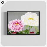 1-22_The-Picture-Book-of-Peonies_blk-crop