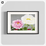 1-22_The-Picture-Book-of-Peonies_blk