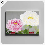 1-22_The-Picture-Book-of-Peonies_canvas