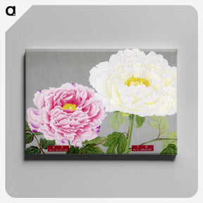 1-22_The-Picture-Book-of-Peonies_canvas