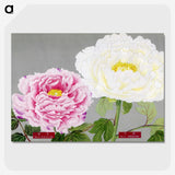 1-22_The-Picture-Book-of-Peonies_picture-crop