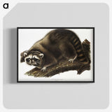 1-22_The-Viviparous-Quadrupeds_blk-crop