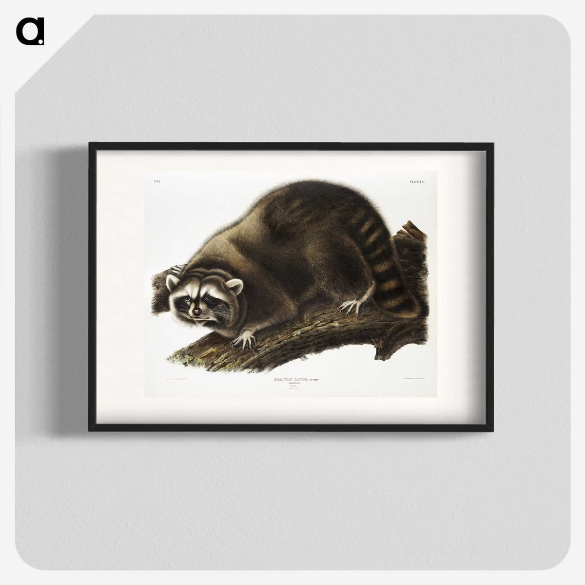 1-22_The-Viviparous-Quadrupeds_blk
