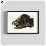 1-22_The-Viviparous-Quadrupeds_blk