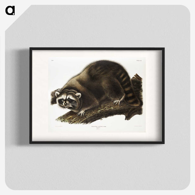 1-22_The-Viviparous-Quadrupeds_blk