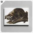 1-22_The-Viviparous-Quadrupeds_canvas