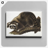 1-22_The-Viviparous-Quadrupeds_canvas