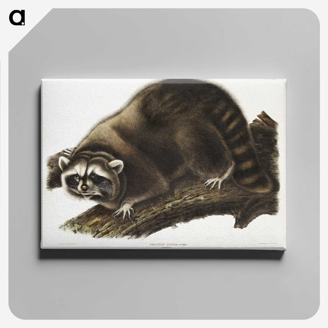 1-22_The-Viviparous-Quadrupeds_canvas