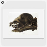 1-22_The-Viviparous-Quadrupeds_picture