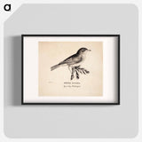 Thrush nightingale - ヴィルヘルム フォン ライト Poster.