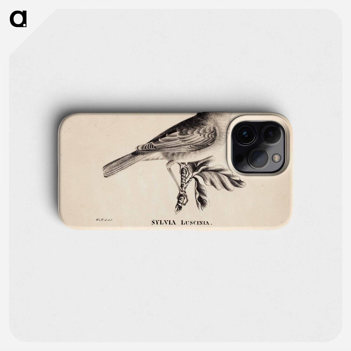 Thrush nightingale - Wilhelm von Wright Phone Case.