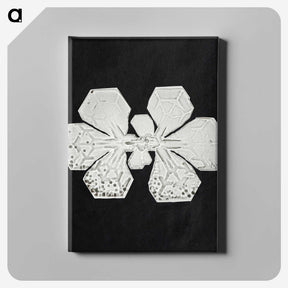 1-22_Wilson-Bentley_canvas