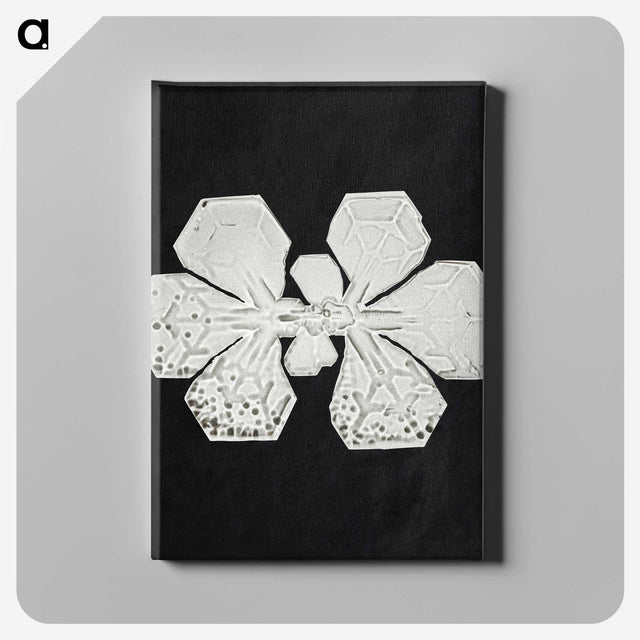 1-22_Wilson-Bentley_canvas