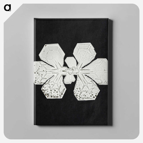 Wilson Bentley's Snowflake 349 - ウィルソン ベントレー Canvas.