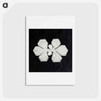 アートポストカード-Wilson Bentley's Snowflake 349 - ウィルソン ベントレー Postcard.