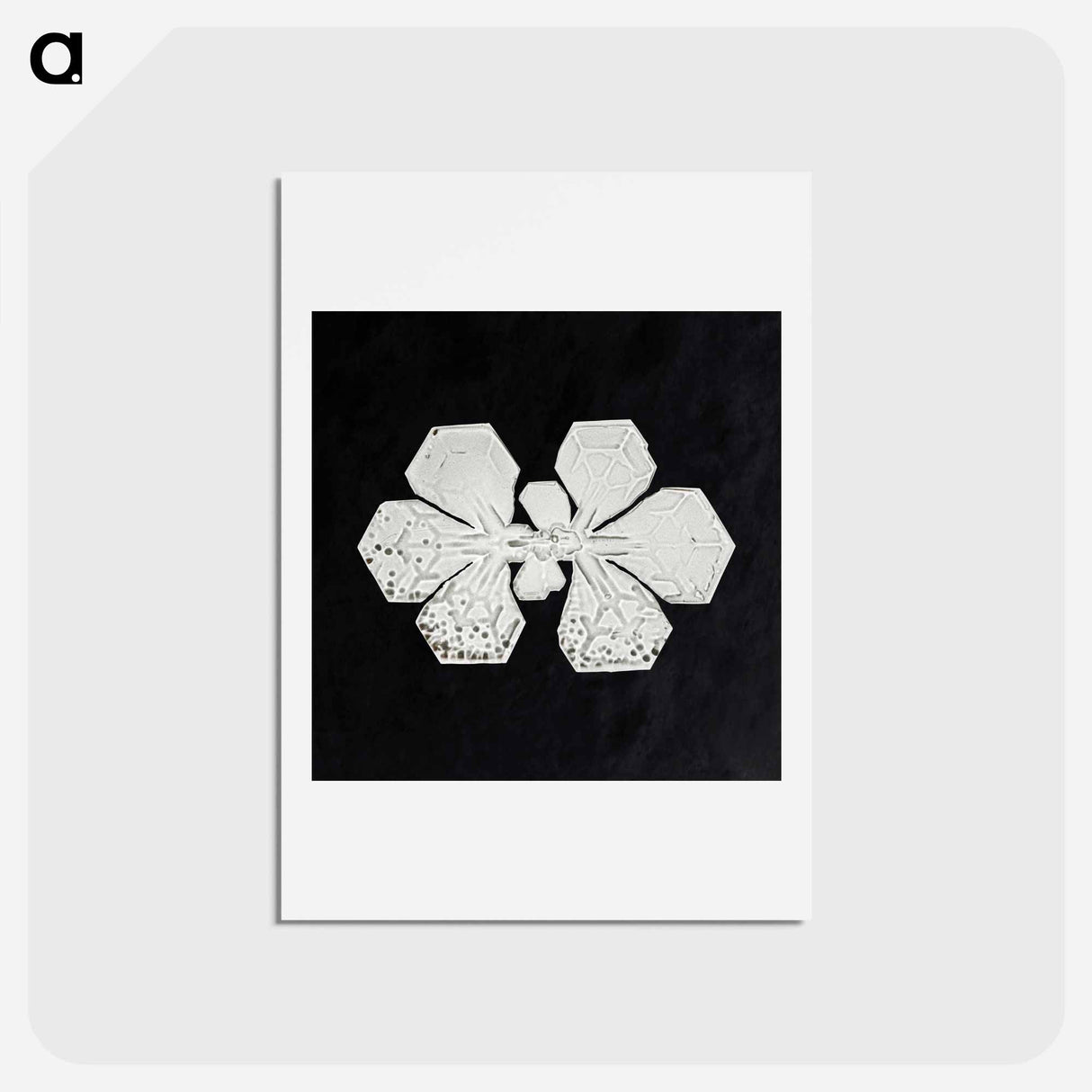 アートポストカード-Wilson Bentley's Snowflake 349 - ウィルソン ベントレー Postcard.