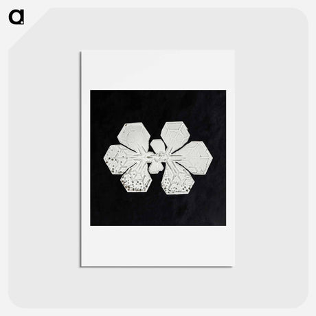 アートポストカード-Wilson Bentley's Snowflake 349 - ウィルソン ベントレー Postcard.