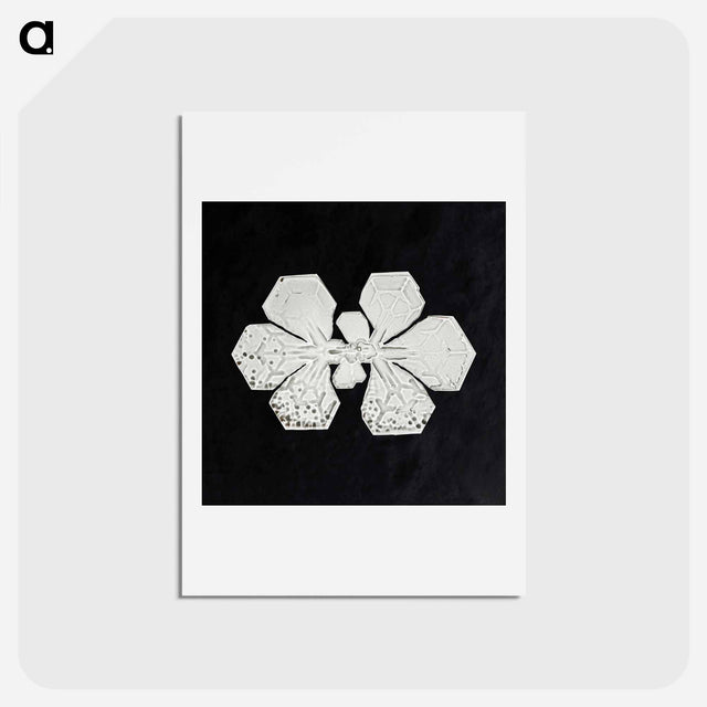 アートポストカード-Wilson Bentley's Snowflake 349 - ウィルソン ベントレー Postcard.
