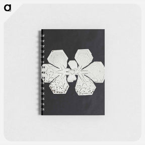 アートメモ帳-Wilson Bentley's Snowflake 349 - ウィルソン ベントレー Memo.