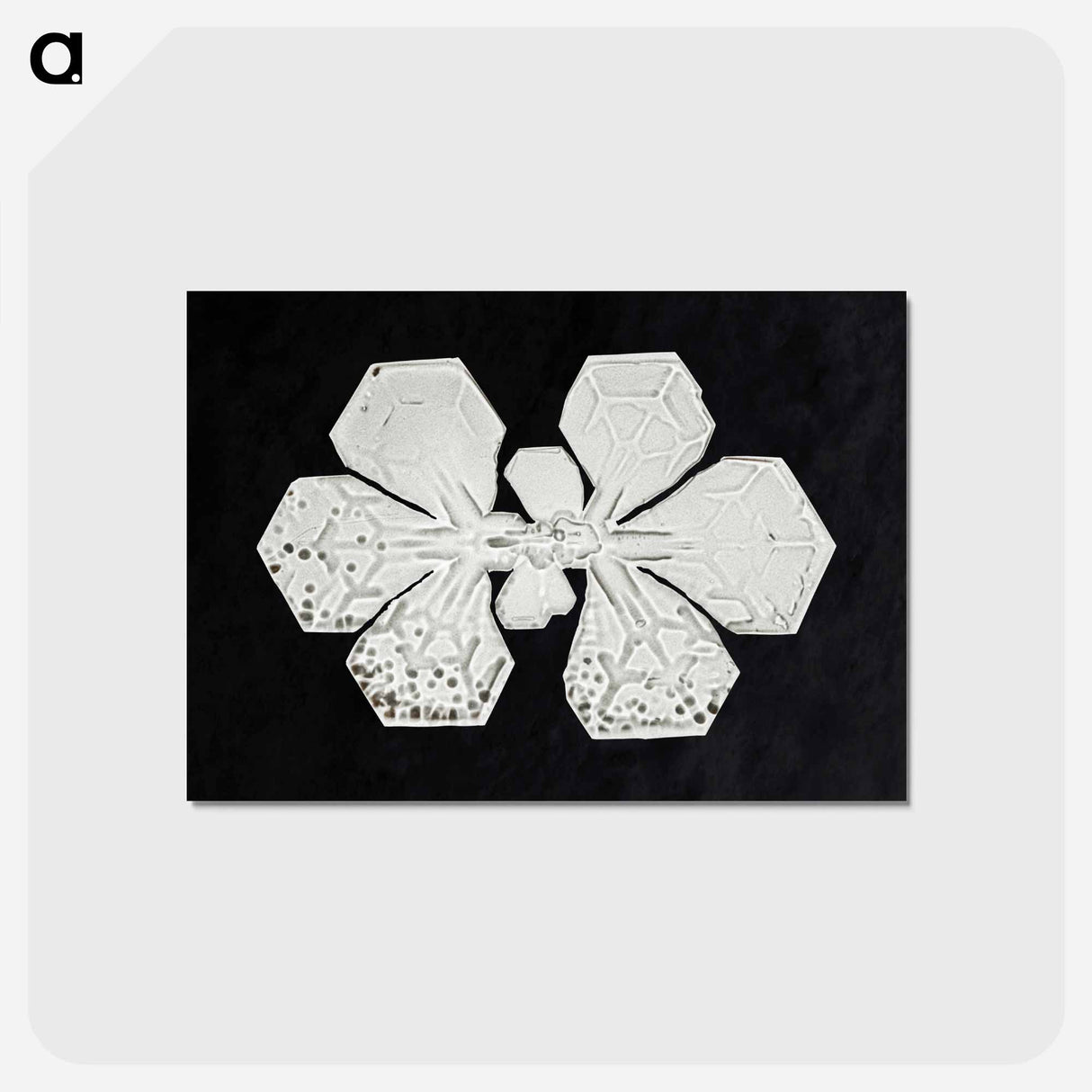 アートポストカード-Wilson Bentley's Snowflake 349 - ウィルソン ベントレー Postcard.