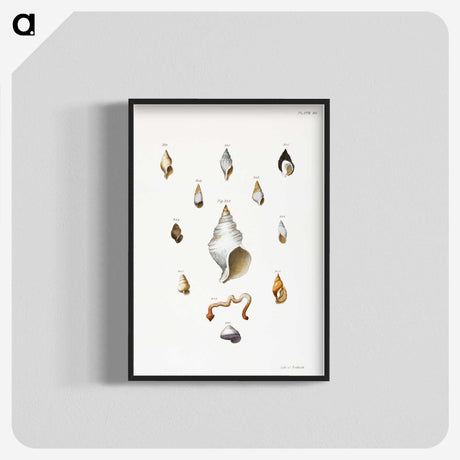 1-22_Zoology-of-New-York_blk-crop