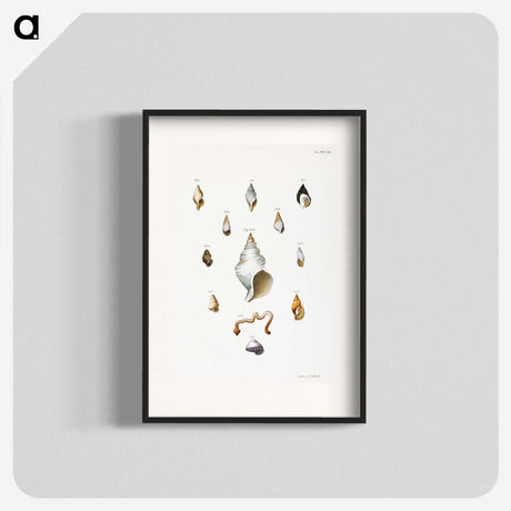 1-22_Zoology-of-New-York_blk