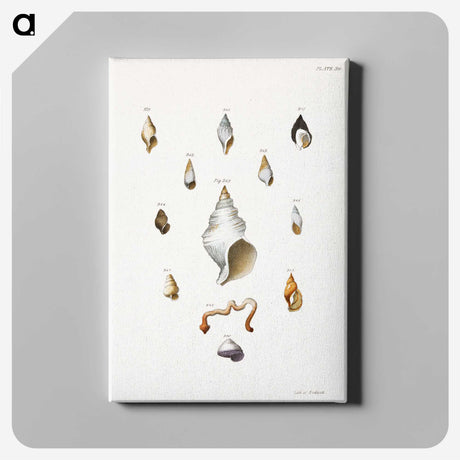 1-22_Zoology-of-New-York_canvas