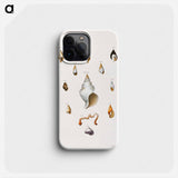 Different types of seashells illustration from Zoology of New York by James Ellsworth De Kay - ニューヨークの動物学 Phone Case.