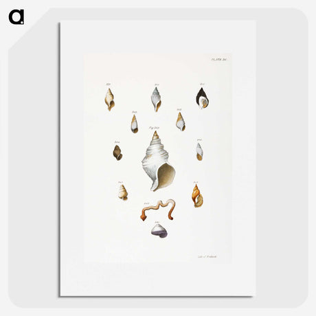 1-22_Zoology-of-New-York_picture