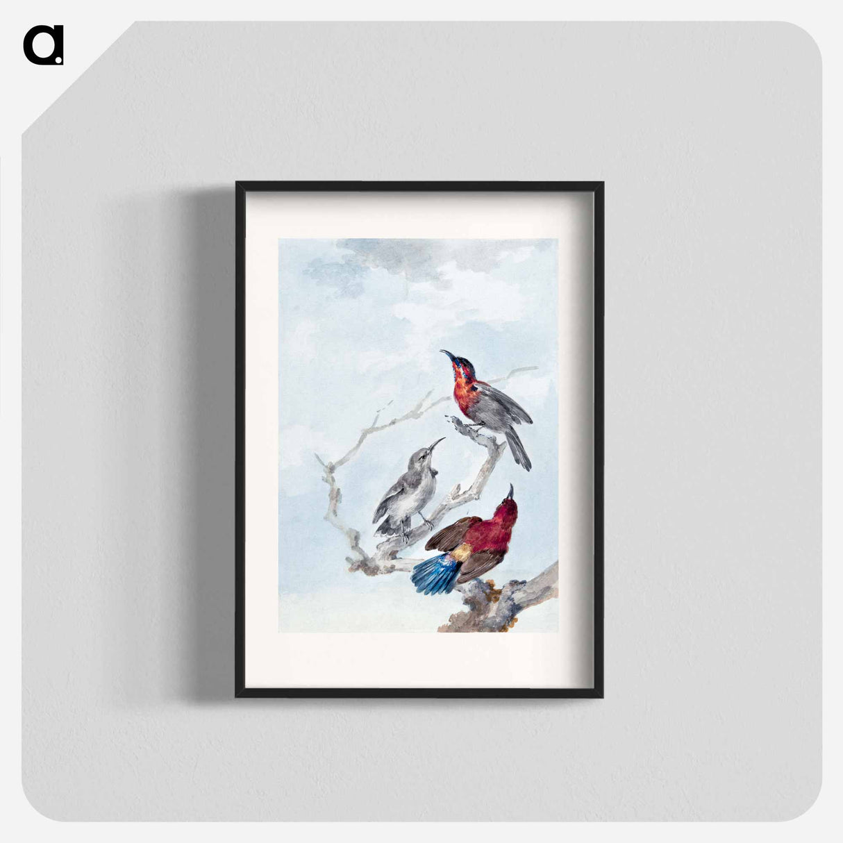 Three Crimson Sunbirds - アールト シューマン Poster.