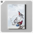 1-23_Aert-Schouman_canvas
