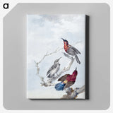 1-23_Aert-Schouman_canvas