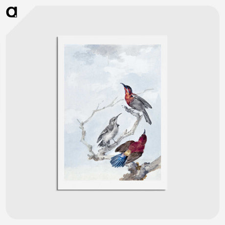 1-23_Aert-Schouman_hagaki