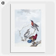 1-23_Aert-Schouman_picture