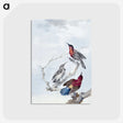 1-23_Aert-Schouman_postcard