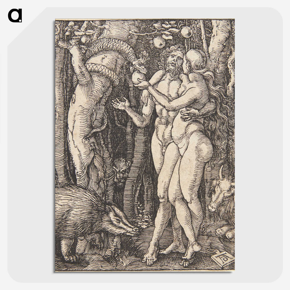 1-23_Albrecht-Durer_picture-crop