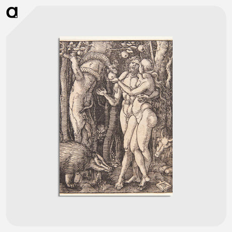 アートポストカード-The Fall of Man - アルブレヒト デューラー Postcard.