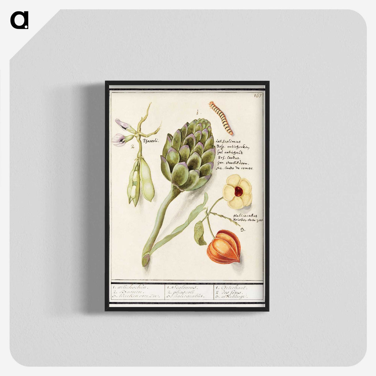 1-23_Anselmus-Boetius-de-Boodt_blk-crop