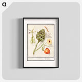 Artichoke, Cynara scolymus, broad beans, Vicia faba and lampion plant, Physalis - アンセルムス ボエティウス デ ブート Poster.