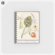 1-23_Anselmus-Boetius-de-Boodt_memo