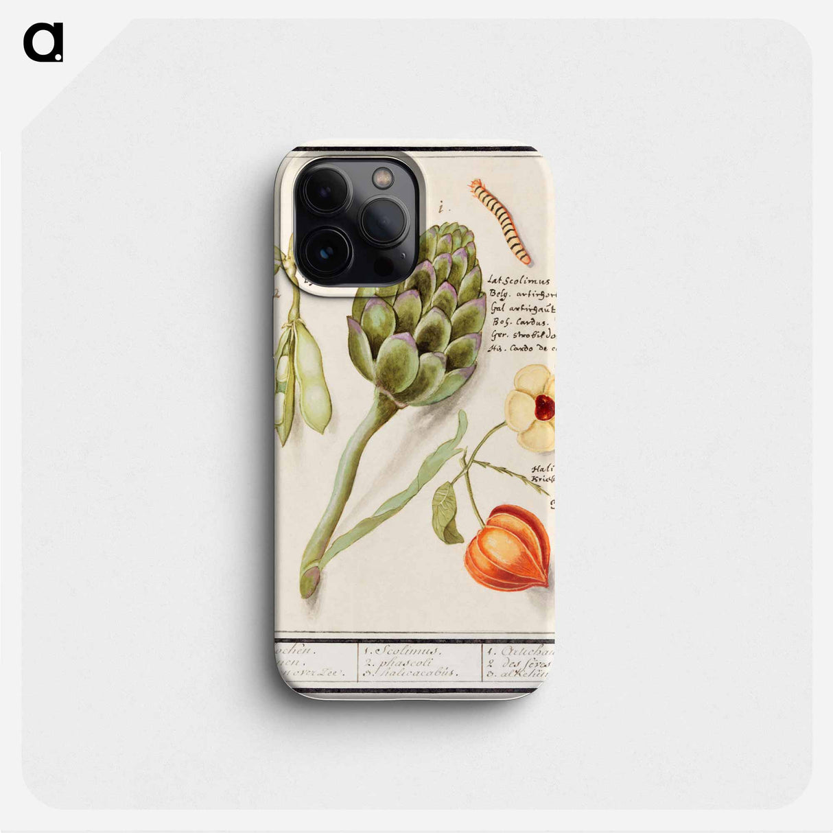 Artichoke, Cynara scolymus, broad beans, Vicia faba and lampion plant, Physalis - アンセルムス ボエティウス デ ブート Phone Case.