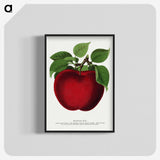 1-23_Botanical-Specimen-Plates_blk-crop