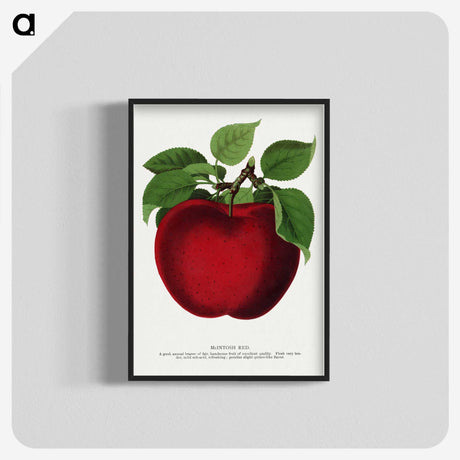 1-23_Botanical-Specimen-Plates_blk-crop