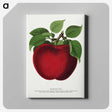 1-23_Botanical-Specimen-Plates_canvas